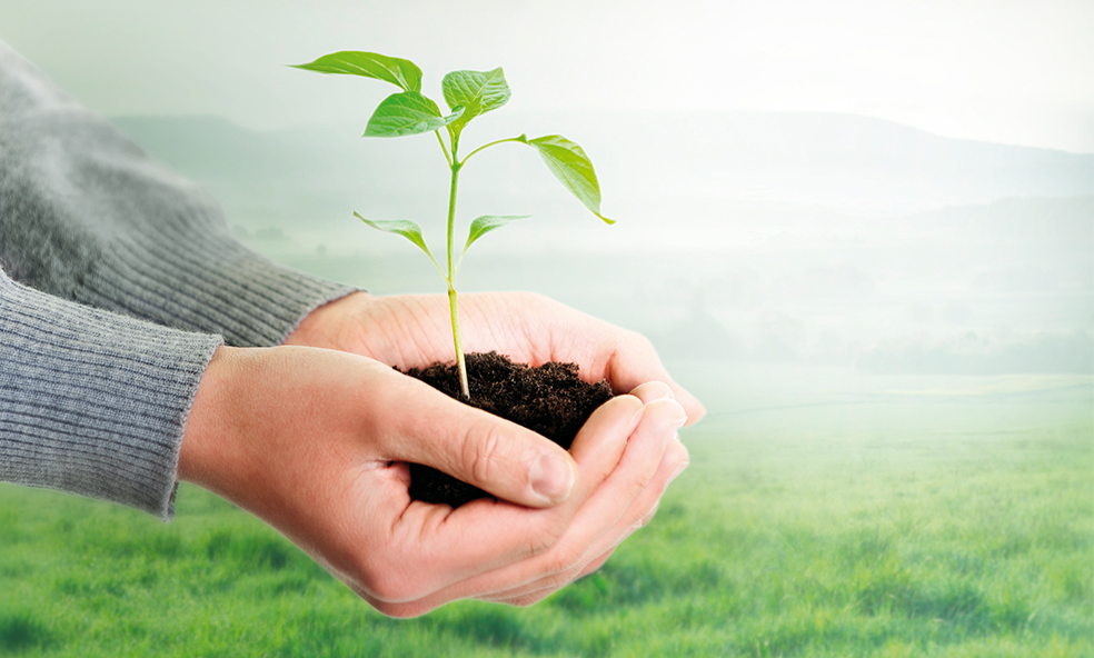 Unsere Werte: Nachhaltigkeit