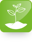Icon Pflanze