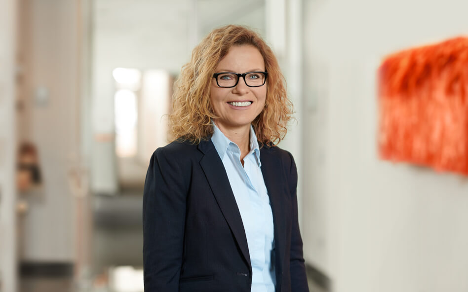 Entwicklungsprogramme